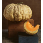 The Melon - Image 2
